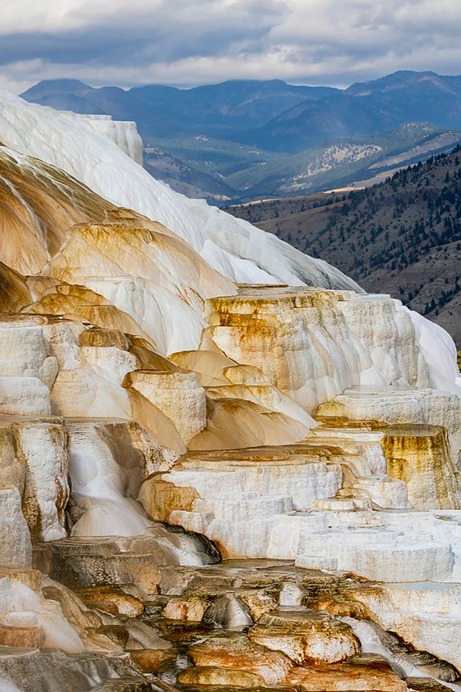 Colorful terrace-Canary Spring-Mammoth Hot Springs-Yellowstone National Park-Wyoming